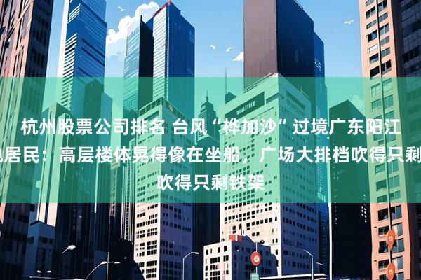 杭州股票公司排名 台风“桦加沙”过境广东阳江 当地居民：高层楼体晃得像在坐船，广场大排档吹得只剩铁架